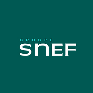 Groupe SNEF-logo