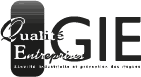 gie-logo